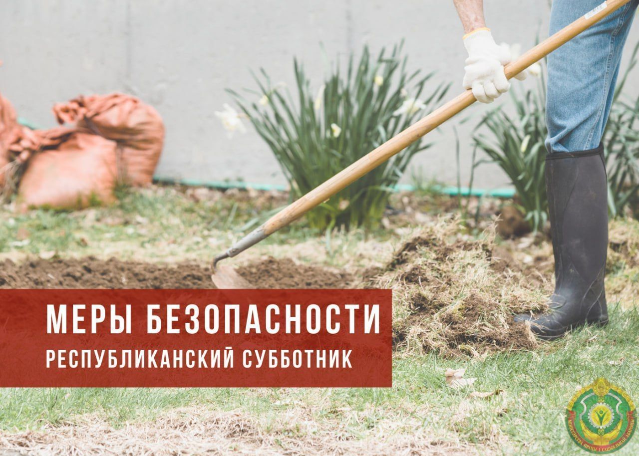 Республиканский субботник пройдет в Беларуси 25 октября