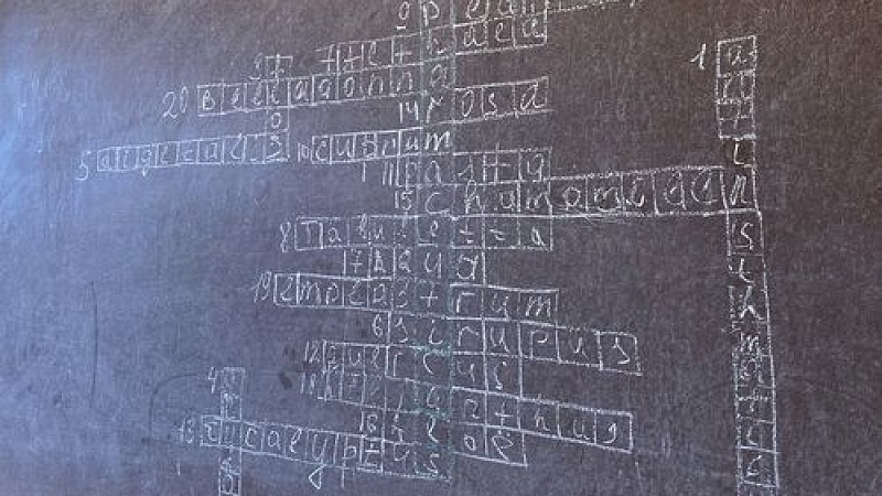 image6