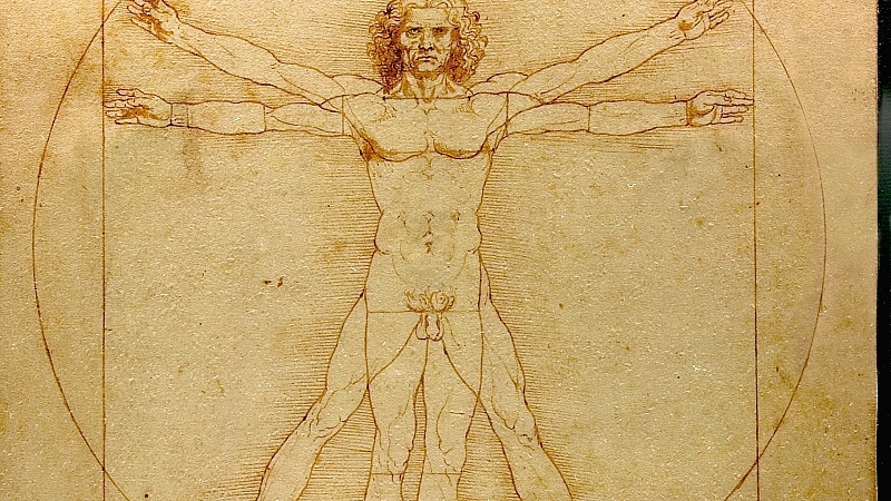 The "Anatomical Drawing" competition