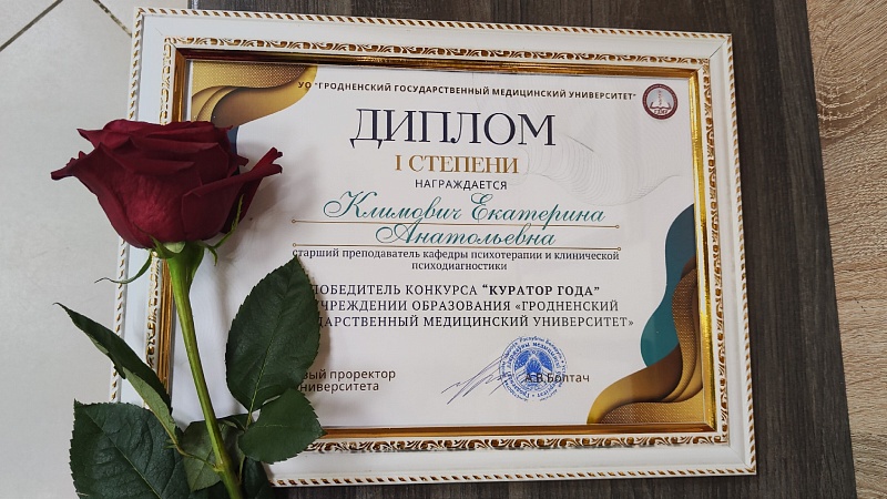 Куратор года