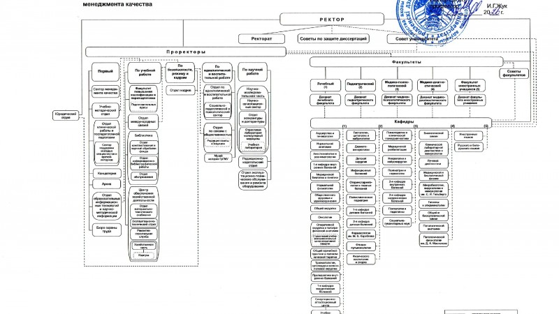 Структура системы менеджмента