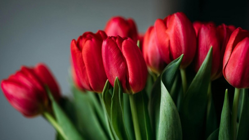 C Международным женским днем!