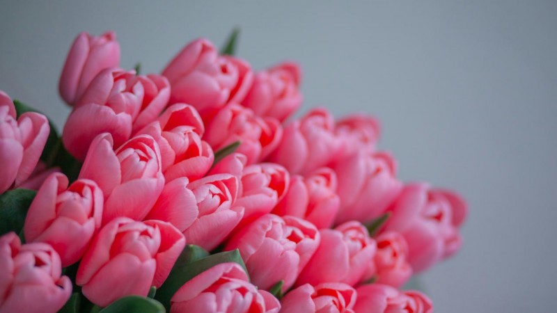 Праздничные мероприятия ГрГМУ к 8 Марта