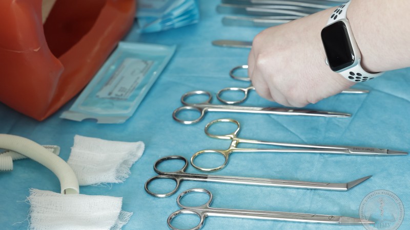 Участие в проведении и судействе международной студенческой олимпиады «Хирургическая Лига Содружества»