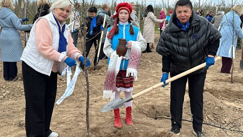 Мир, единство, добро. Активисты первички БСЖ ГрГМУ приняли участие в республиканской акции «Яблоневый сад»
