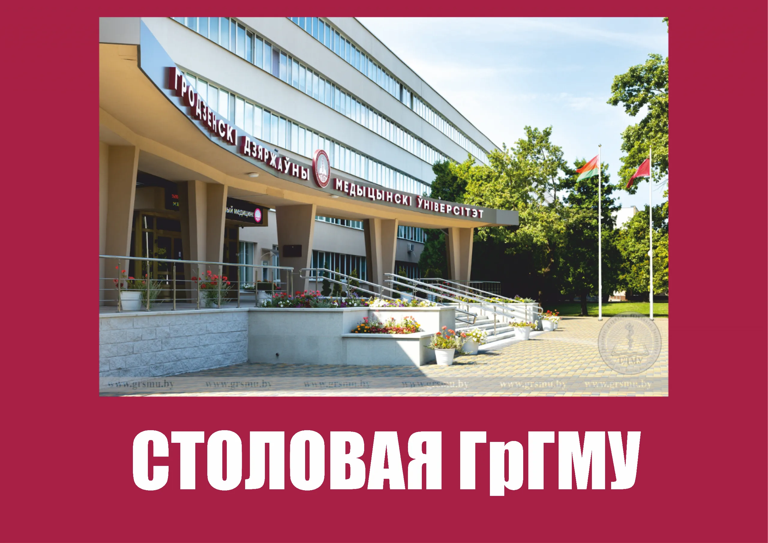 В новый учебный год с обновлённым меню