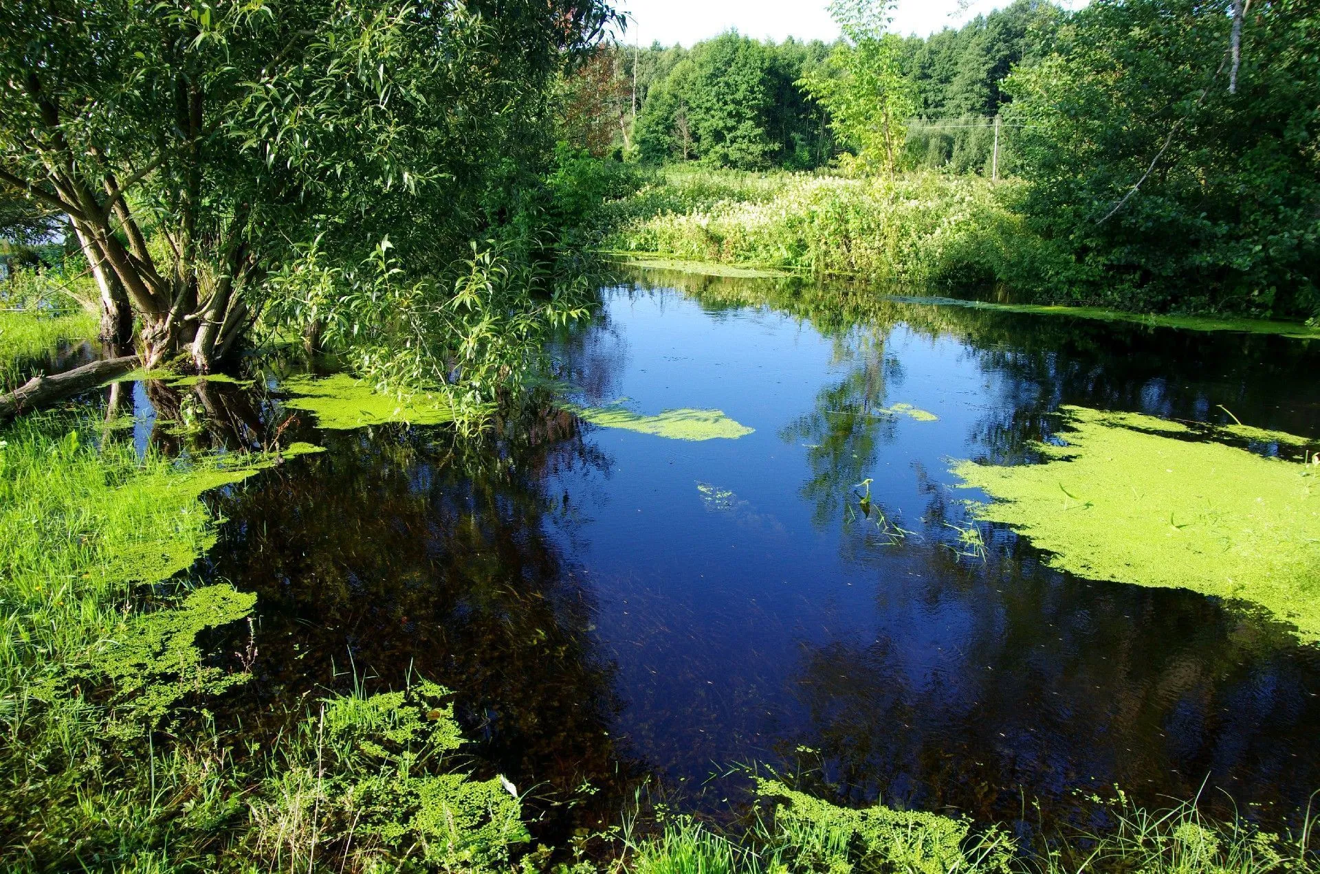 Увидеть красоту родной земли. В ГрГМУ открылась фотовыставка «Реки Беларуси»