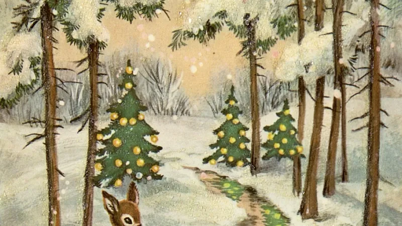 06.12.2024 «Сошел на землю новый год»