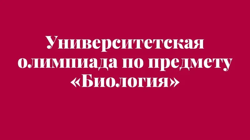 Итоги предварительного этапа университетской олимпиады