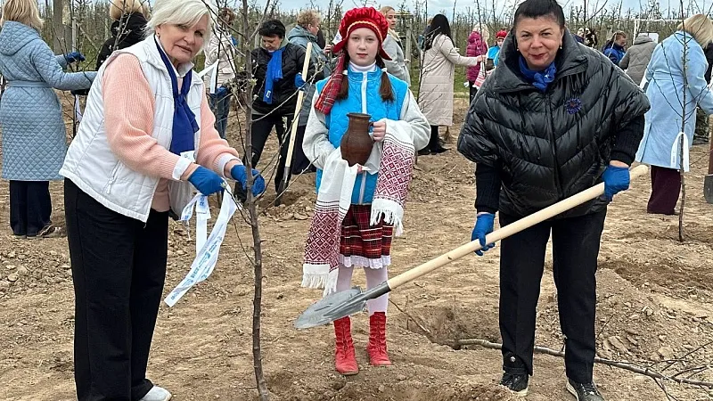 Мир, единство, добро. Активисты первички БСЖ ГрГМУ приняли участие в республиканской акции «Яблоневый сад»