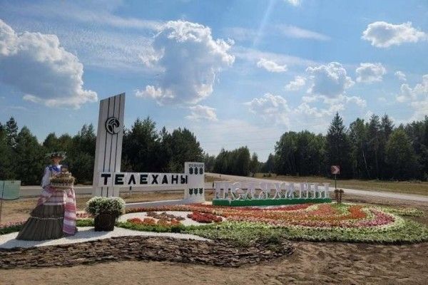 Консультативная помощь населению в летний период