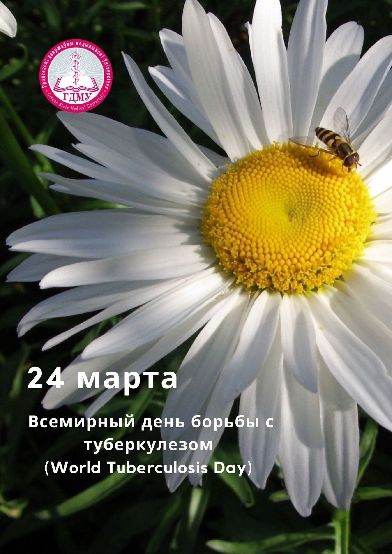 Всемирный день борьбы с туберкулезом