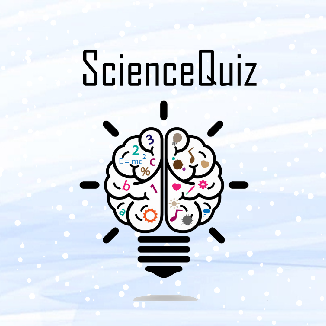 Новогодний благотворительный ScienceQuiz