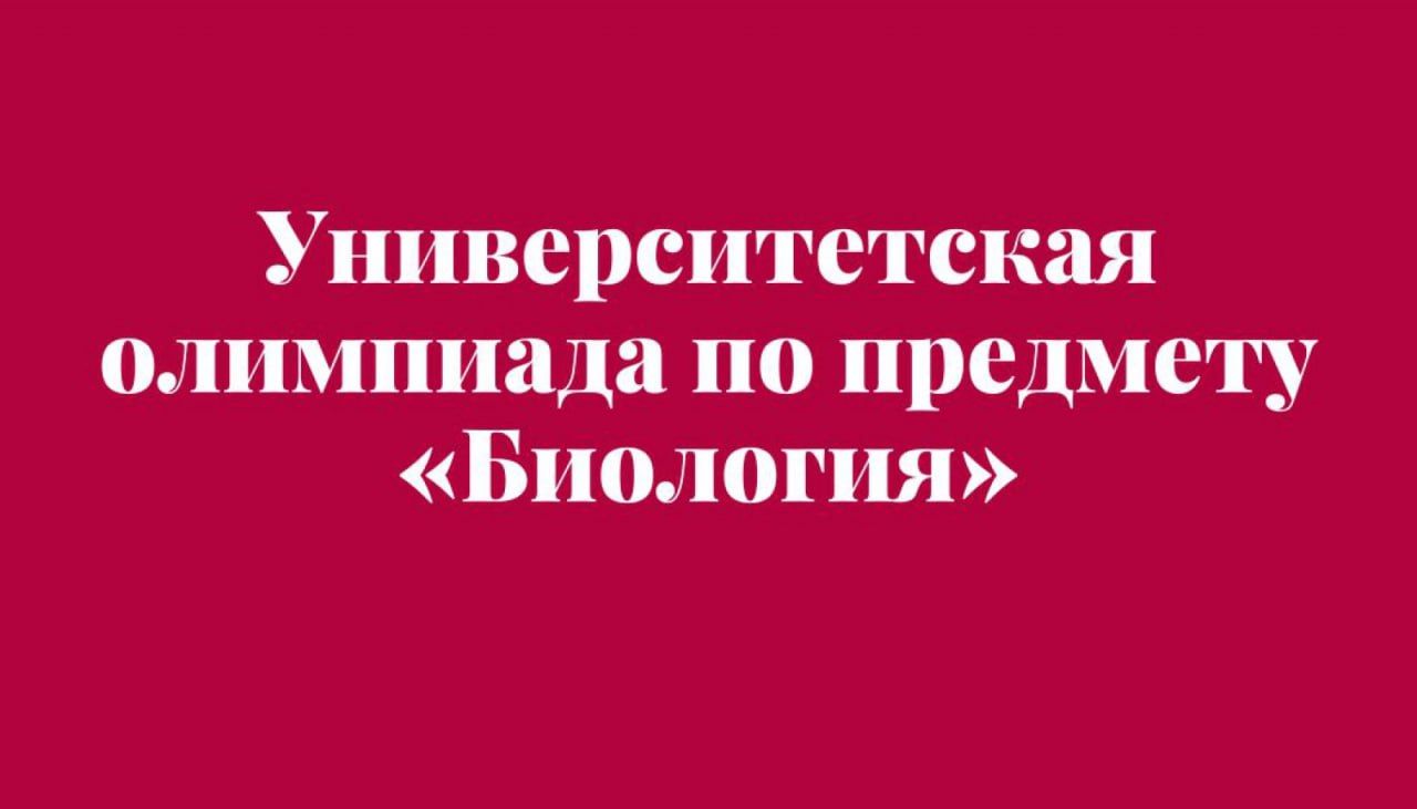 Итоги предварительного этапа университетской олимпиады