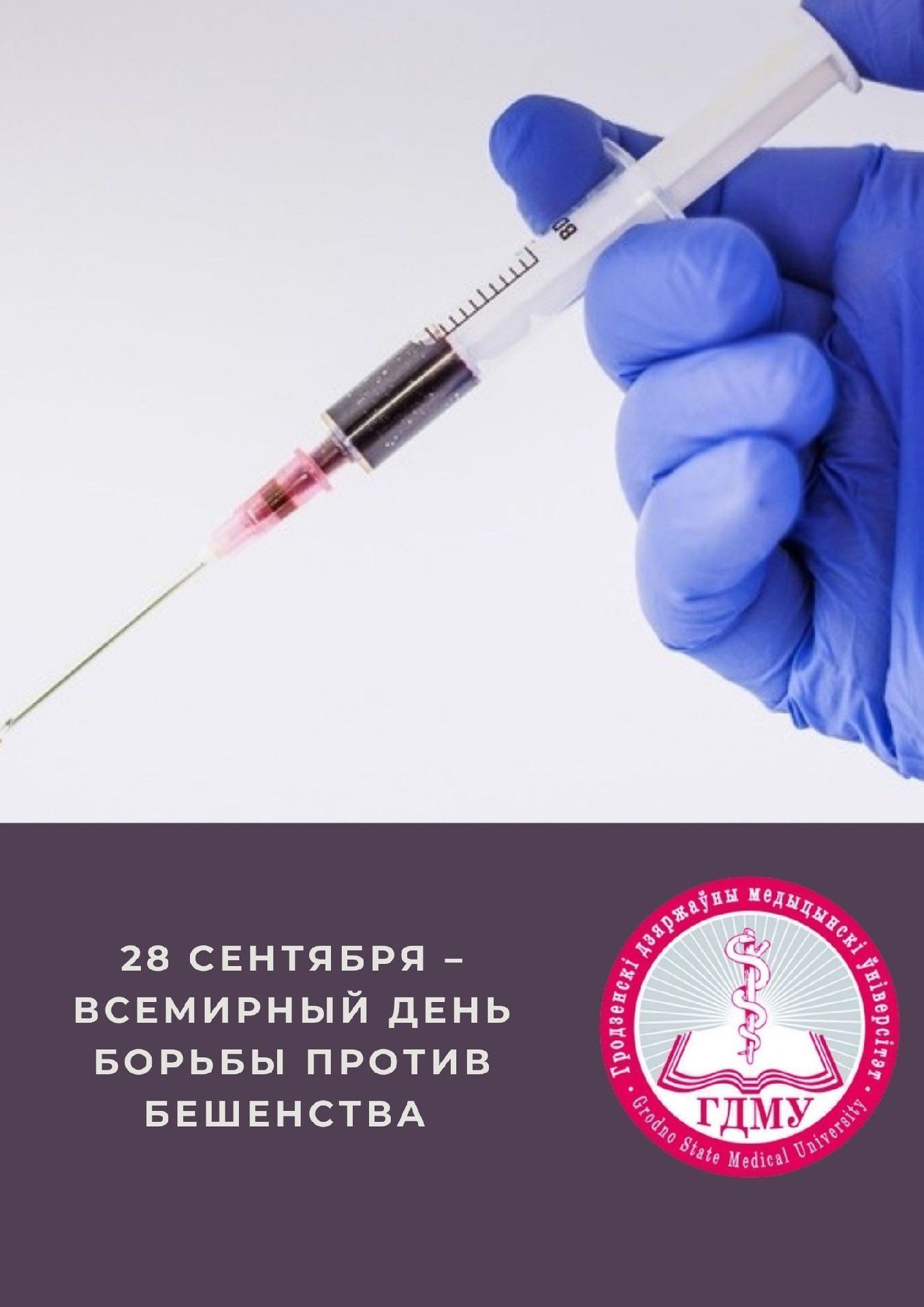 Всемирный день борьбы против бешенства