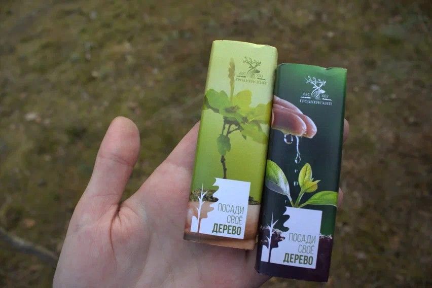 В стране стартовала республиканская акция «Дай лесу новае жыццё!»