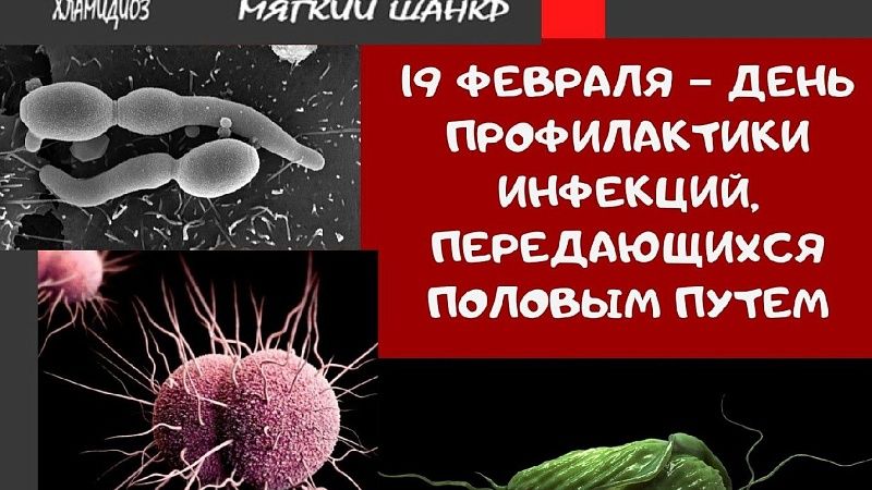 День профилактики инфекций, передающихся половым путем