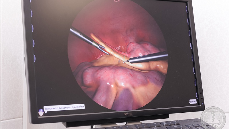3C4A1340